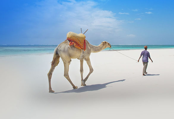 Destination